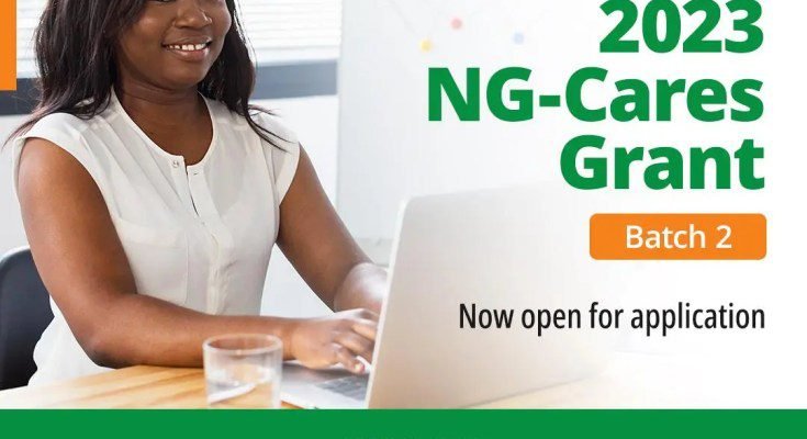 Ng Cares Grant Program Batch 2 How To Apply And What You Need